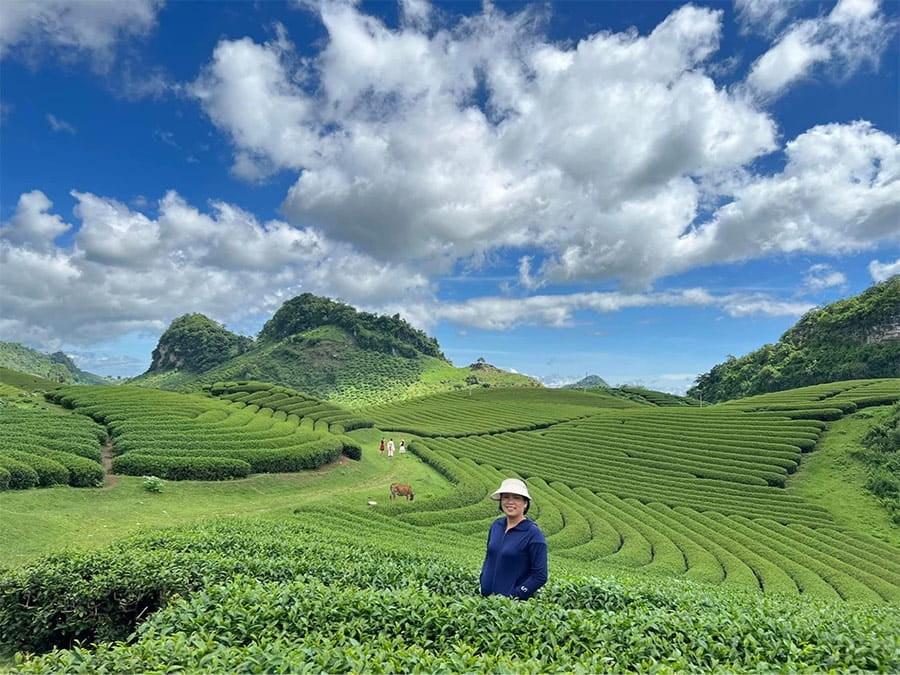 Chọn mua trà nguyên liệu pha chế tận nguồn sản xuất
