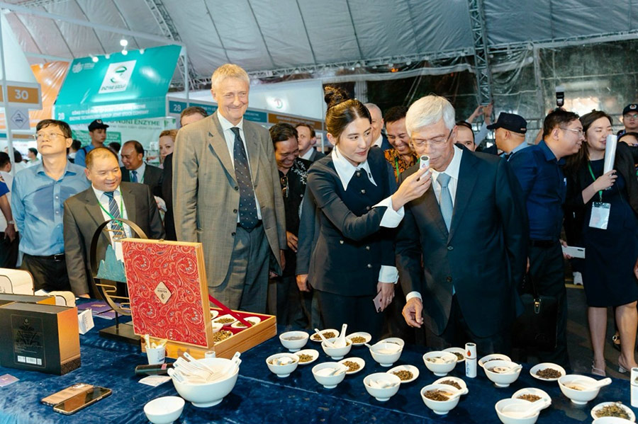 Trà Việt trên phương diện sức khoẻ và kết hợp với Sâm Việt Nam