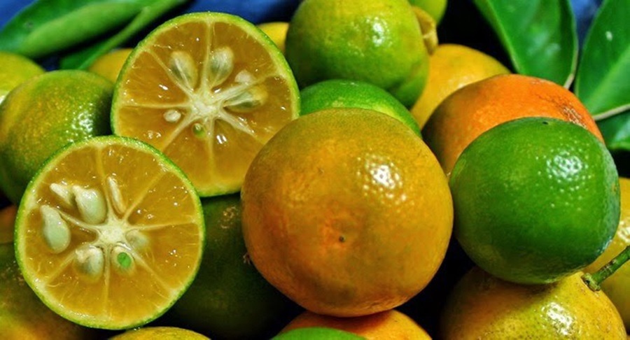 nguyên liệu làm hồng trà tắc ngon