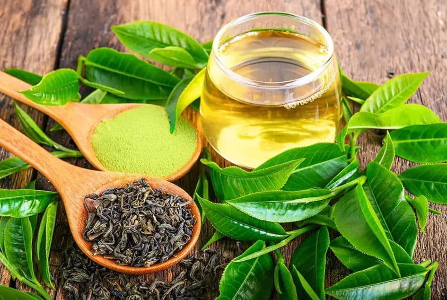 Cách nấu lá trà xanh tươi sao cho không bị chát gắt, thơm ngon đậm đà là một nghệ thuật.