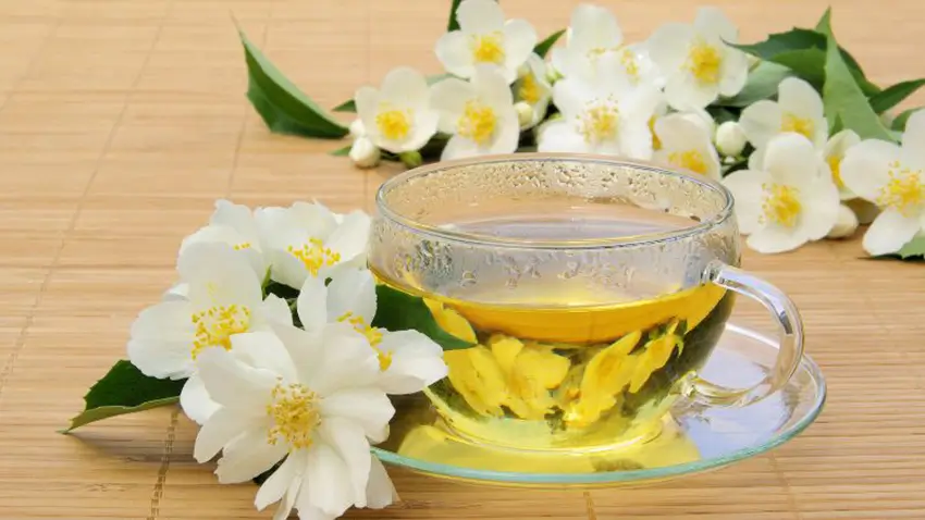 Cách pha trà hoa nhài chuẩn vị tại nhà