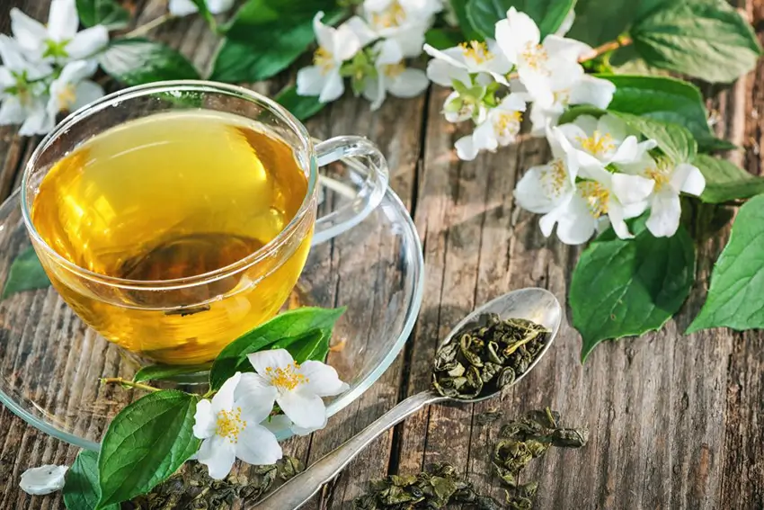 Trà hoa nhài – Bí quyết thanh mát và thư giãn từ thiên nhiên