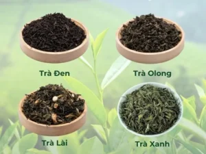 Kinh nghiệm chọn trà pha chế